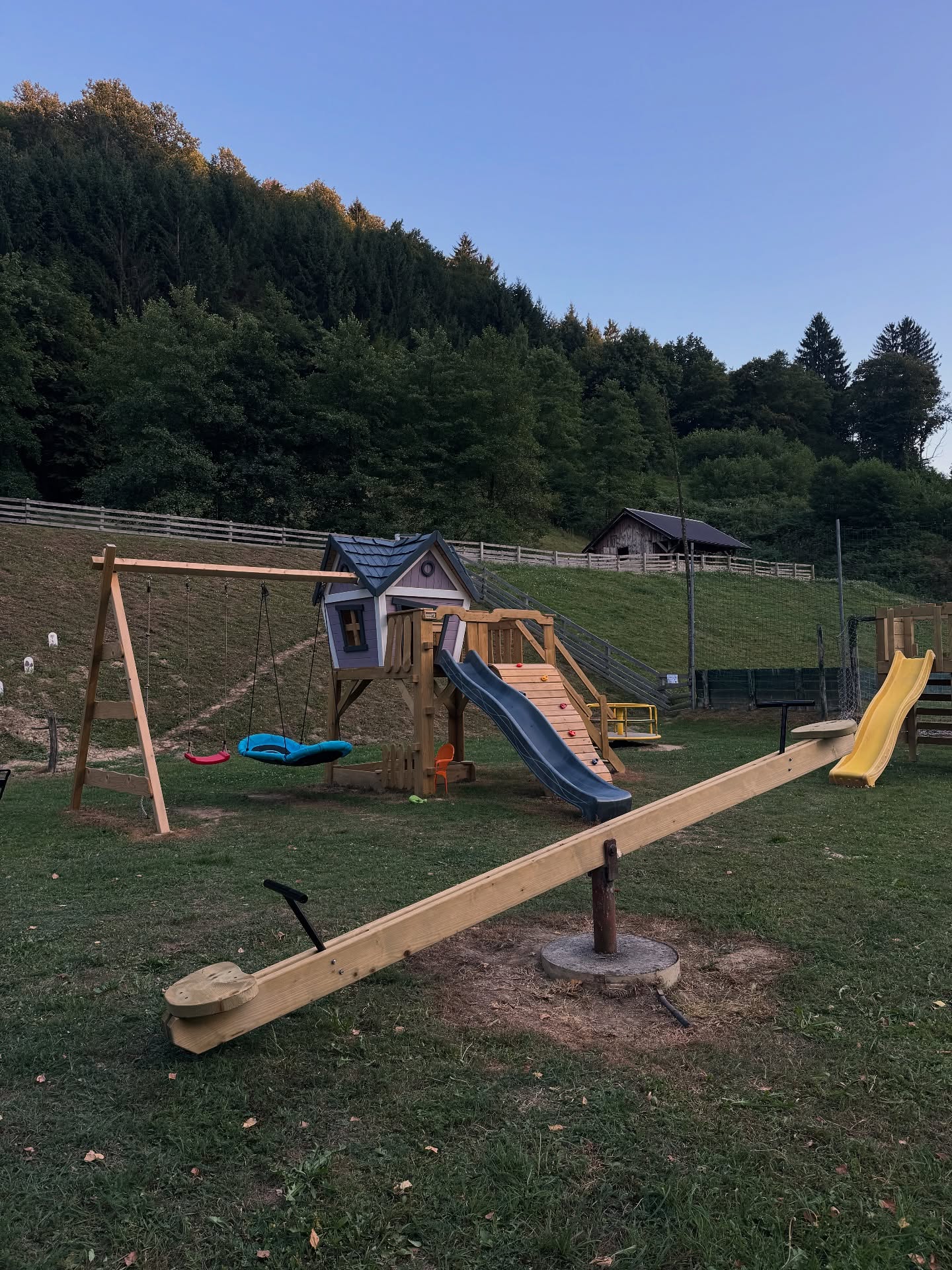 Lesena igrala na travniku